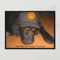 Sad Not Trick or Treating Halloween Postcard