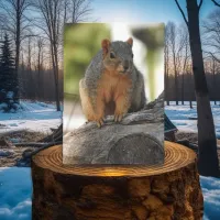 Miss You my Nutty Friend! Funny Squirrel Pun Card