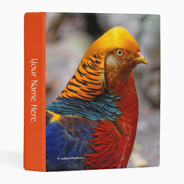 Stunning Vignetted Profile of a Golden Pheasant Mini Binder