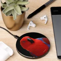 Beautiful "Lady in Red" Eclectus Parrot Wireless Charger