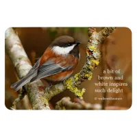 Cute Chestnut-Backed Chickadee Songbird in Tree Magnet