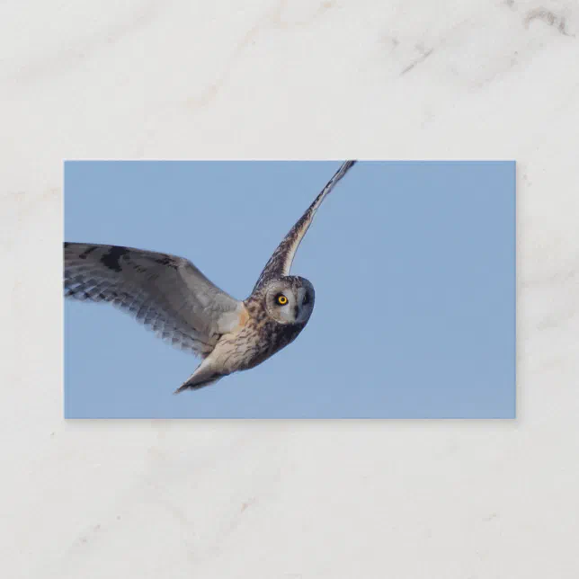 Flight of the Short-Eared Owl Business Card