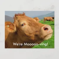 Add your Address to this "We're Moooving" Postcard