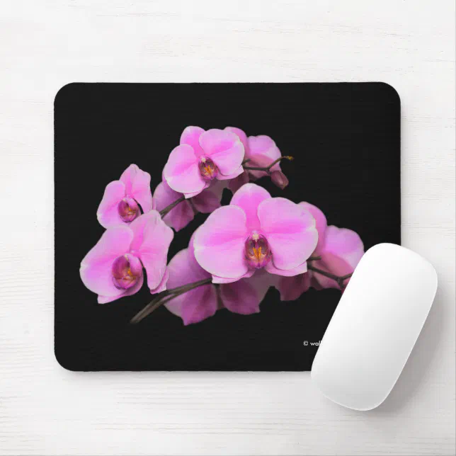 Elegant Pink Orchids Phalaenopsis Flowers on Black Mouse Pad