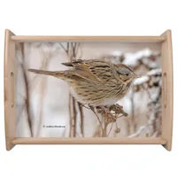 Lincoln's Sparrow on Tansy Serving Tray