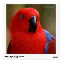 Beautiful "Lady in Red" Eclectus Parrot Wall Decal