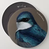 Handsome Tree Swallow: Bird on a Wire Button