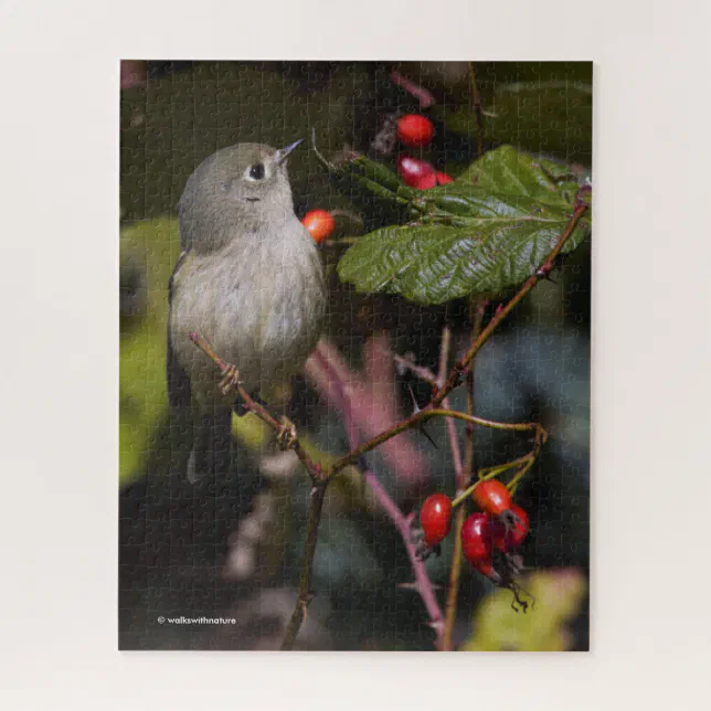 Ruby-Crowned Kinglet Songbird on Hawthorn Bush Jigsaw Puzzle