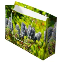 Big Blue Korean Fir Cones Large Gift Bag