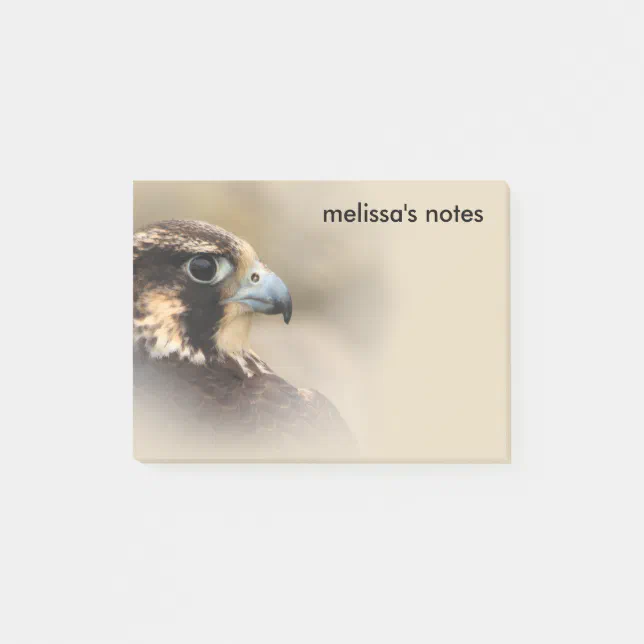 Vignetted Profile of a Peregrine Falcon Post-it Notes