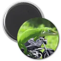 Green Hawaiian Gecko Rider Magnet