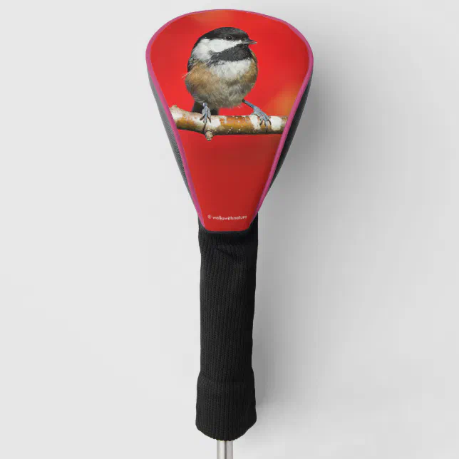 Black-Capped Chickadee on Autumn Red Background Golf Head Cover