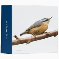 Beautiful Red-Breasted Nuthatch on a Branch Binder