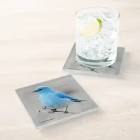 Beautiful Mountain Bluebird on the Tansy Glass Coaster