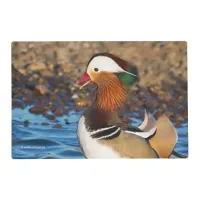 Beautiful Chatty Mandarin Duck at the Pond Placemat
