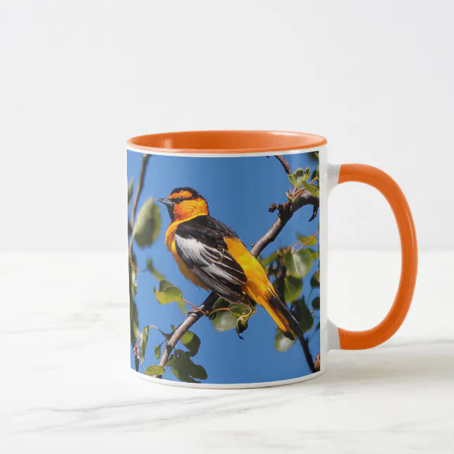 Beautiful Bullock's Oriole Songbird in Pear Tree Mug