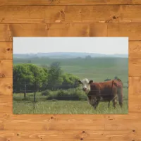 Midwest Photography | Beautiful Cow and Scenery Poster