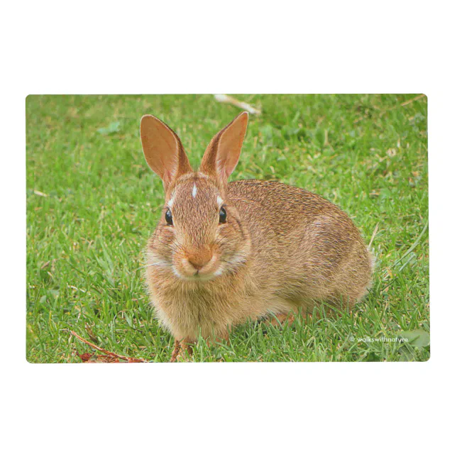 Cute Bunny Chewing Greens on the Golf Fairway Placemat