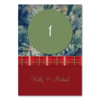 Crimson & Evergreen Christmas Wedding Table Number