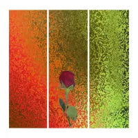 Red Rose & Shiny Orange to Green Abstract Triptych