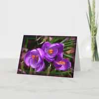 [Colorful Flowers] Crocus vernus  - Any Occasion Card