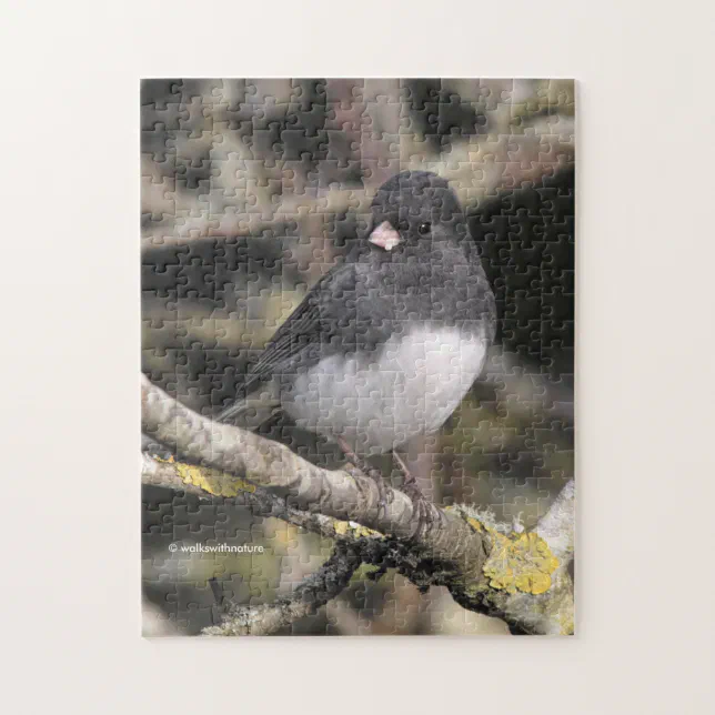 Slate-Colored Dark-Eyed Junco on the Pear Tree Jigsaw Puzzle