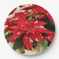 Festive Red White Floral Poinsettias Paper Plates