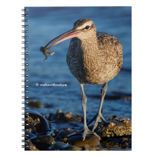 Whimbrel with Sushi Notebook