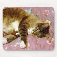 Real Cat, Fake Cat 2 Mouse Pad