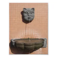 Plaza Cat Fountain Photo Print