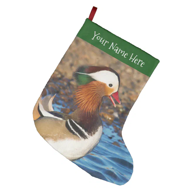 Beautiful Chatty Mandarin Duck at the Pond Large Christmas Stocking