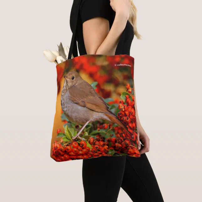 Hermit Thrush Songbird on Scarlet Firethorn Tote Bag