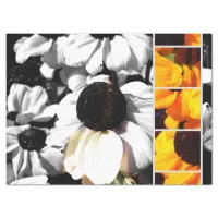 Monochrome and Yellow Black-eyed Susans Tissue Paper