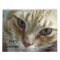 Orange Tabby Cat Calendar Featuring Bob