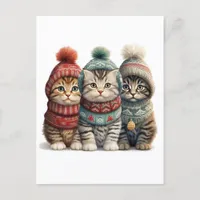 Three Kittens in Sweaters Postcard