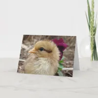 Chick in Pansy Garden Easter Card