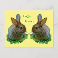 Little Bunny Postcard