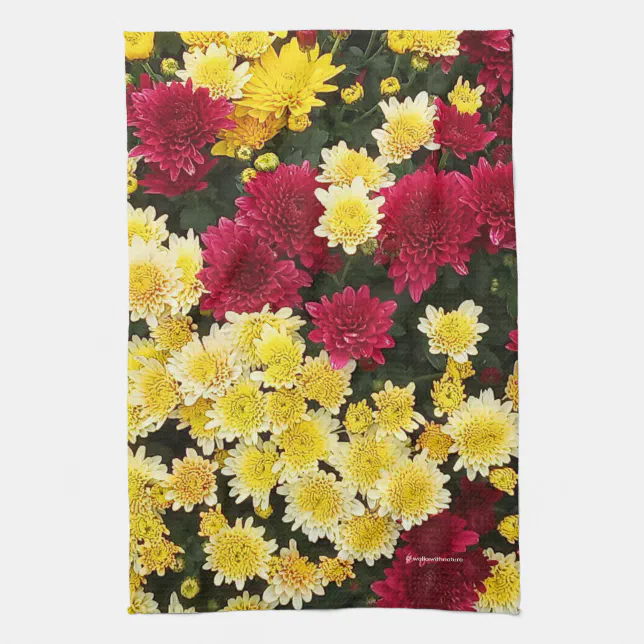 Stunning Red Gold Autumn Chrysanthemum Flowers Kitchen Towel