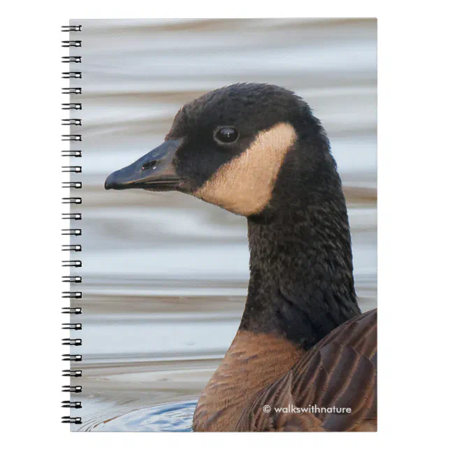 Profile of a Cackling Goose Notebook