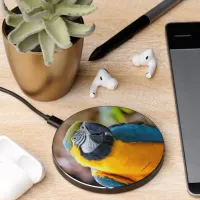 Beautiful Blue and Gold Macaw Parrot Bird Wireless Charger