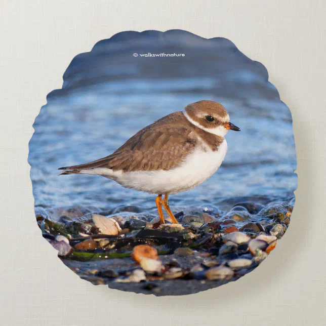 Beautiful Semipalmated Plover at the Beach Round Pillow