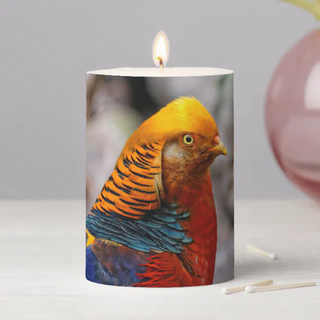 Profile of a Red Golden Pheasant Pillar Candle