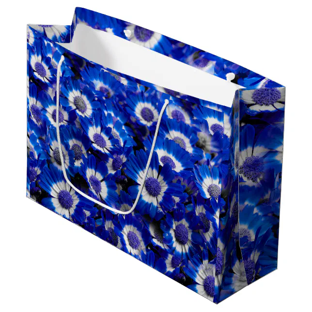 Beautiful Royal Blue Cineraria Flowers Large Gift Bag