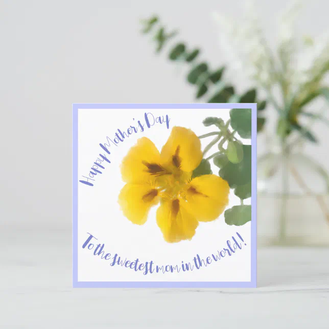 A nasturtium flower for mother’s day card