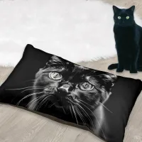 Modern Stylish Black Cat Picture Pet Bed