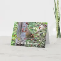 Seasons Greetings, Winter Cardinal Card