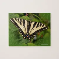 Beautiful Western Tiger Swallowtail Butterfly Jigsaw Puzzle