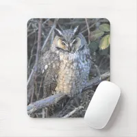 Beautiful Long-Eared Owl at Sunset Mouse Pad