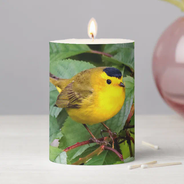 Beautiful Wilson's Warbler in the Cherry Tree Pillar Candle
