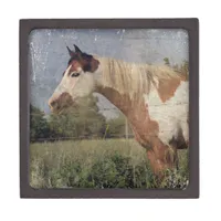 Pinto Horse Grunge Keepsake Box